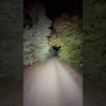 luces para bicicletas de montaña resistentes al agua para ciclismo recreativo en zonas rurales