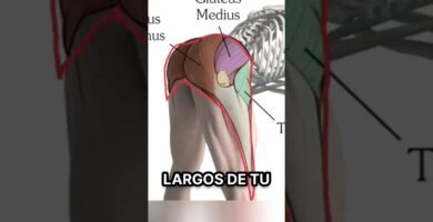 como mejorar tu visibilidad lateral al pedalear de noche al andar en bicicleta en dias nublados
