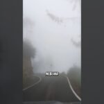 que tipo de luz es mejor para rutas urbanas oscuras en tramos con niebla o lluvia