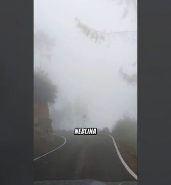 que tipo de luz es mejor para rutas urbanas oscuras en tramos con niebla o lluvia