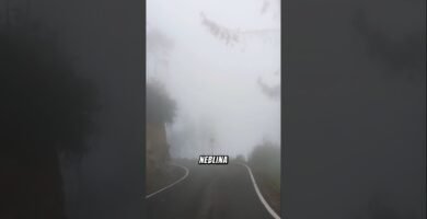 que tipo de luz es mejor para rutas urbanas oscuras en tramos con niebla o lluvia